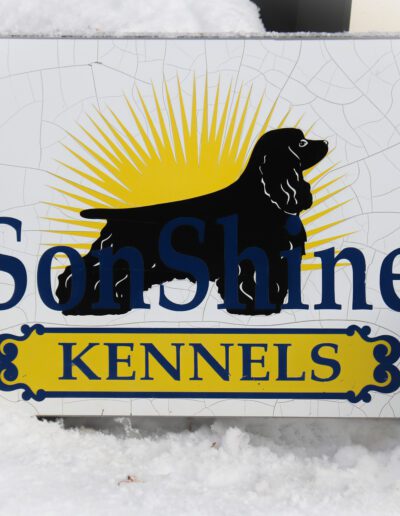 sunshine kennels sign